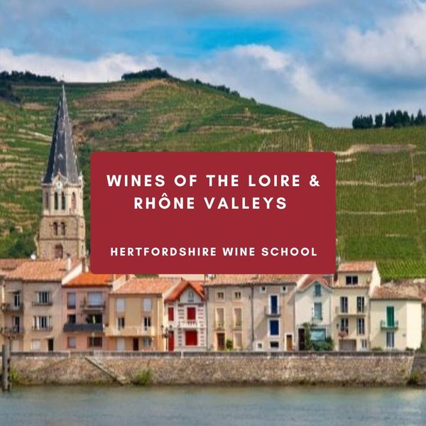 Wines of the Loire & Rhône Valleys