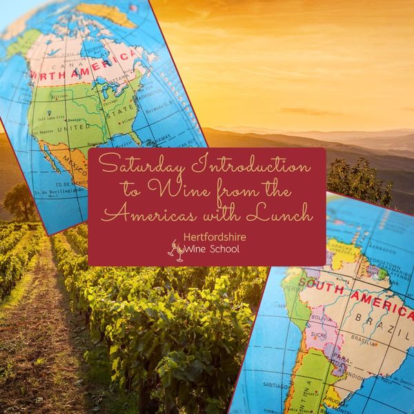 Saturday Introduction to Wines from the Americas with Lunch at Thompson St Albans