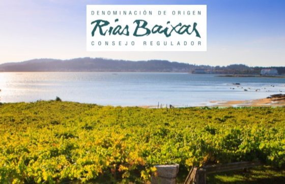 World Albariño Day