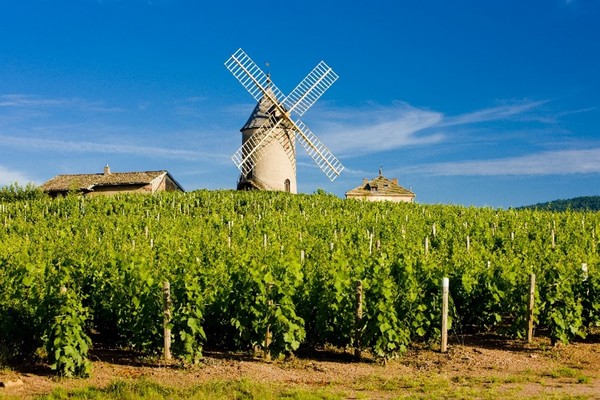 Celebrate the Beaujolais Crus 