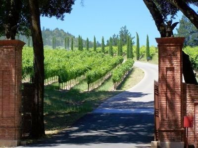 World of Wine - USA and Canada
