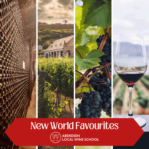 New World Favourites