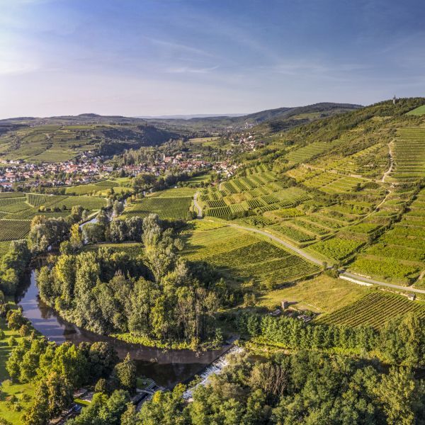 Wines of Austria