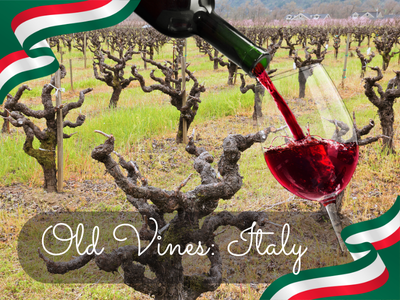 The Magic of Old Vines: Italy Edition