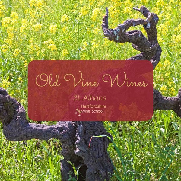 Old Vine Wines - St Albans