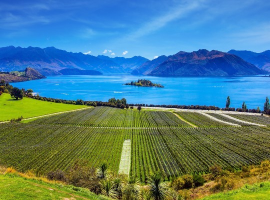 Wonders of New Zealand 4-part Online course for TWO or more