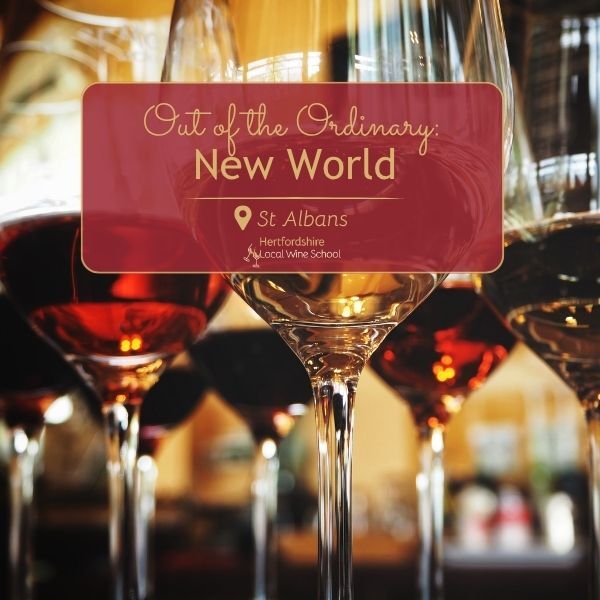 Out of the Ordinary: New World (St Albans)