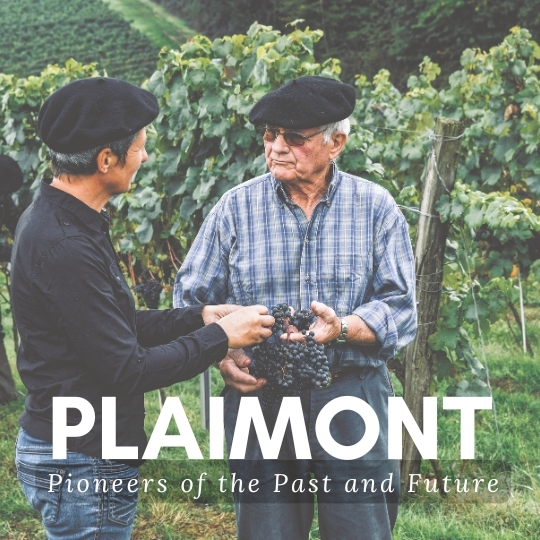 Plaimont: Pioneers of the Past and Future