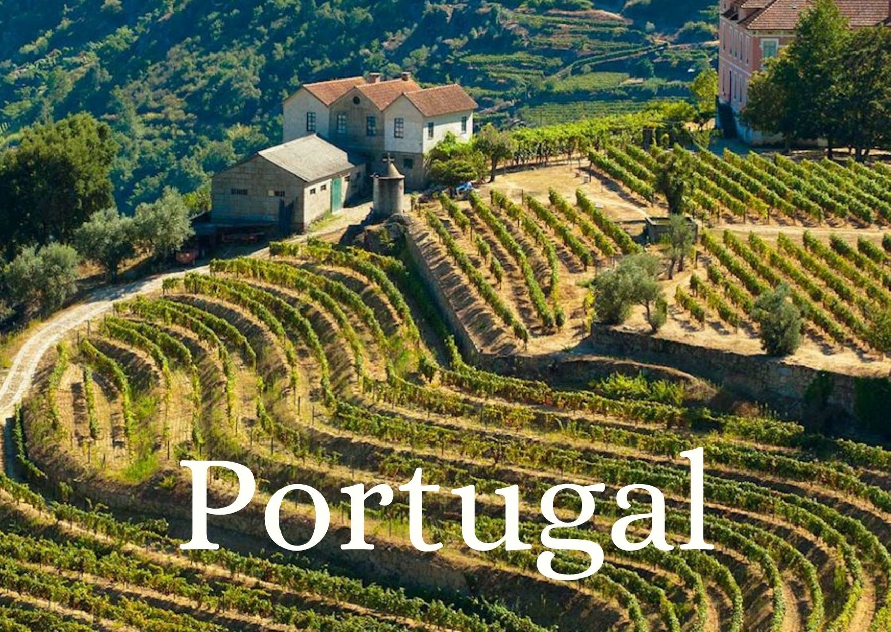 Online Tasting Wines of Portugal - 3 Full Bottles Delivered