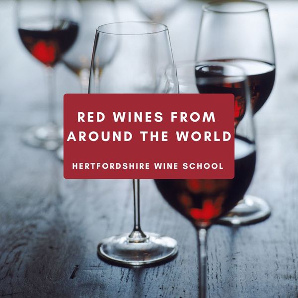 Red Wines From Around The World