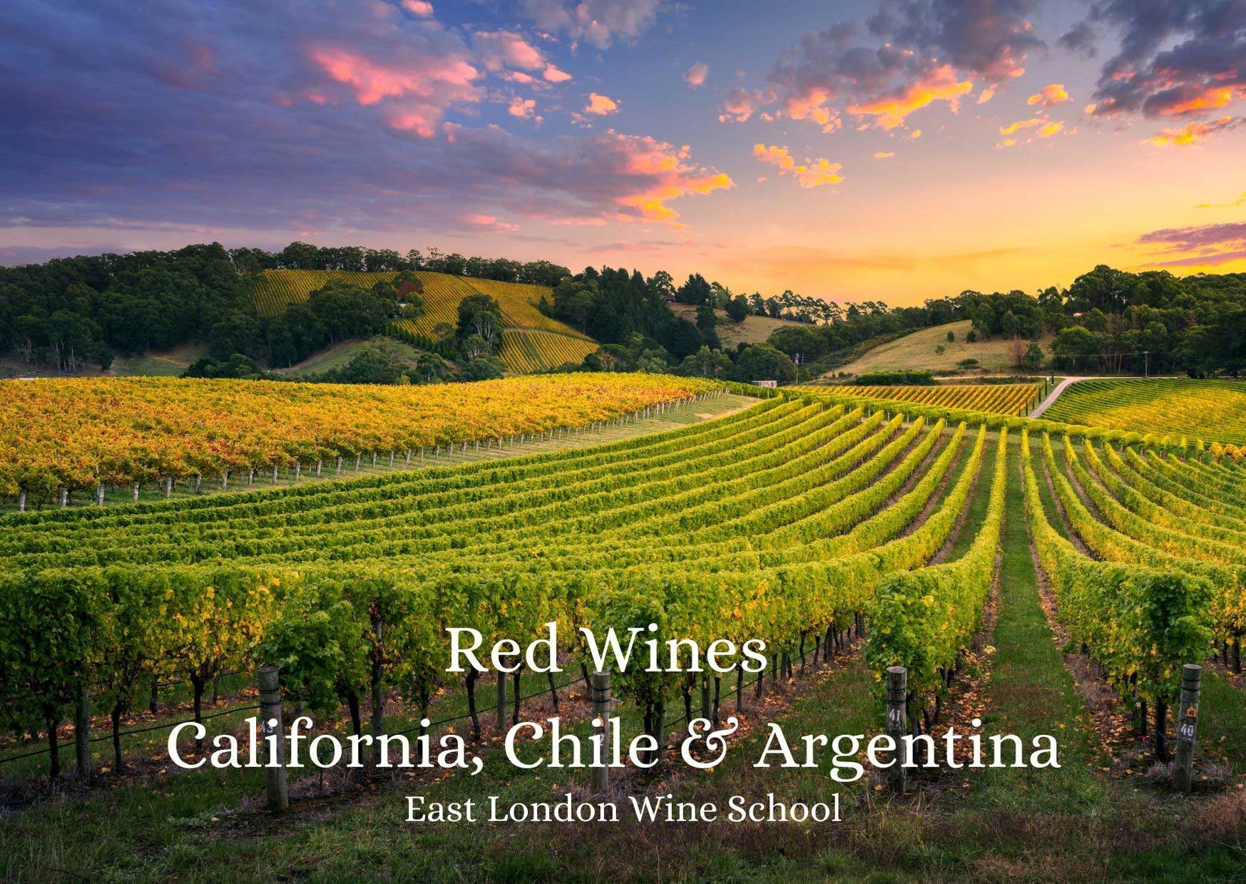 Intro to Red Wines Chile, Argentina, California and Canada