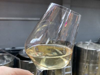 Wine Immersion