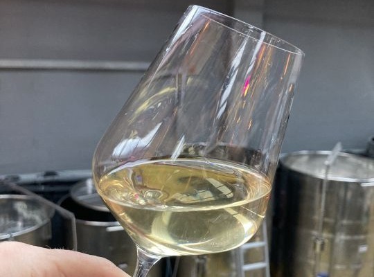 Saturday Introduction to Wine at Renegade Urban Winery