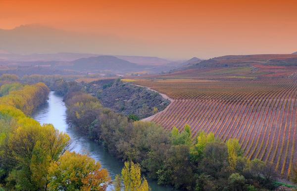 Discover the evolving world of Rioja!