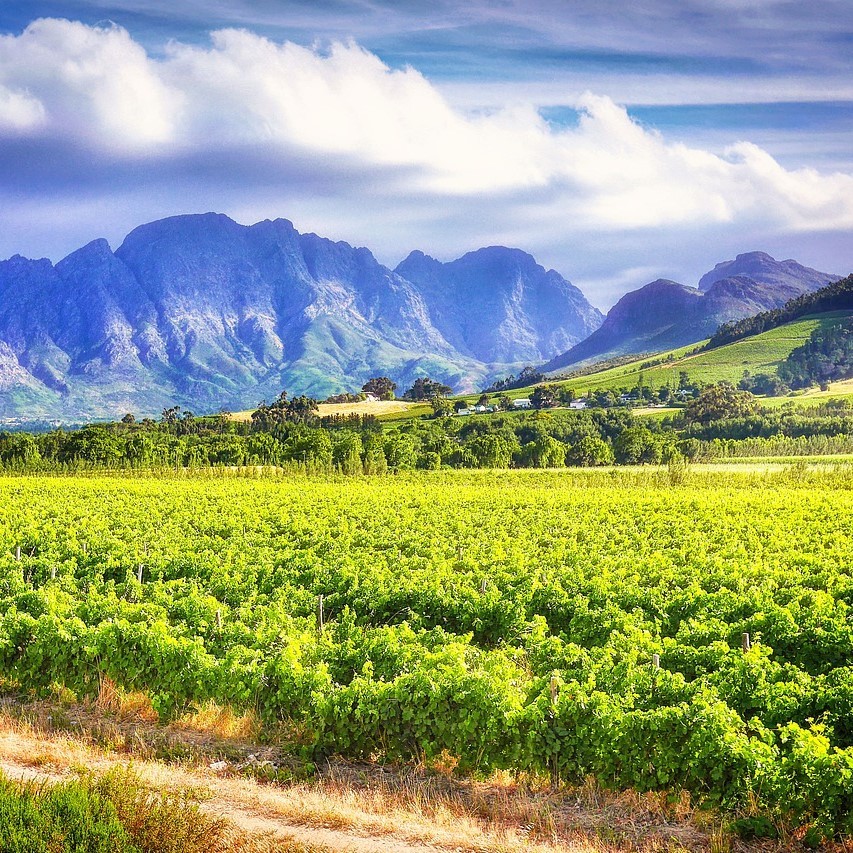 World of Wine - South Africa and the USA