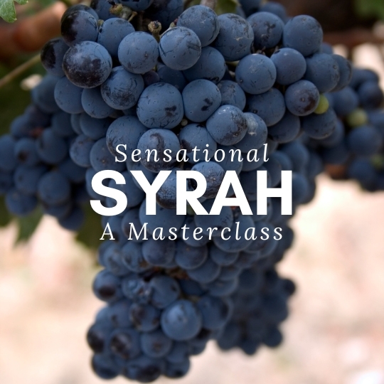 Fine Wine Masterclass: Sensational Syrah