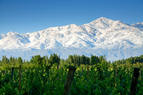 A taste of the Americas; California to the Beautiful South