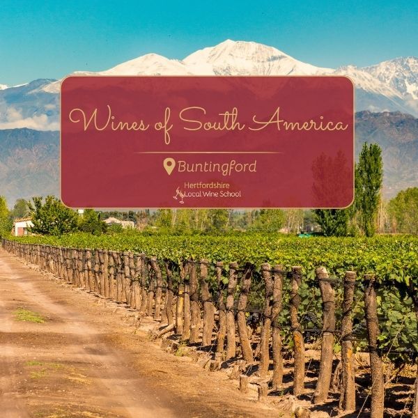Wines of South America (Buntingford) 