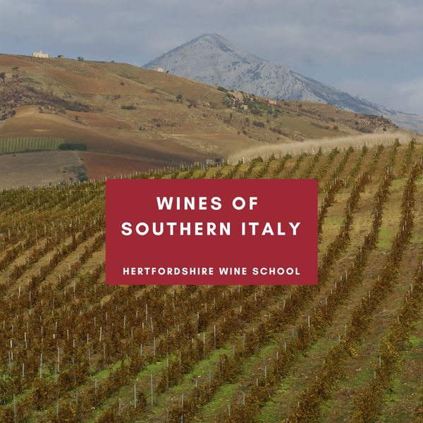 Wines of Southern Italy