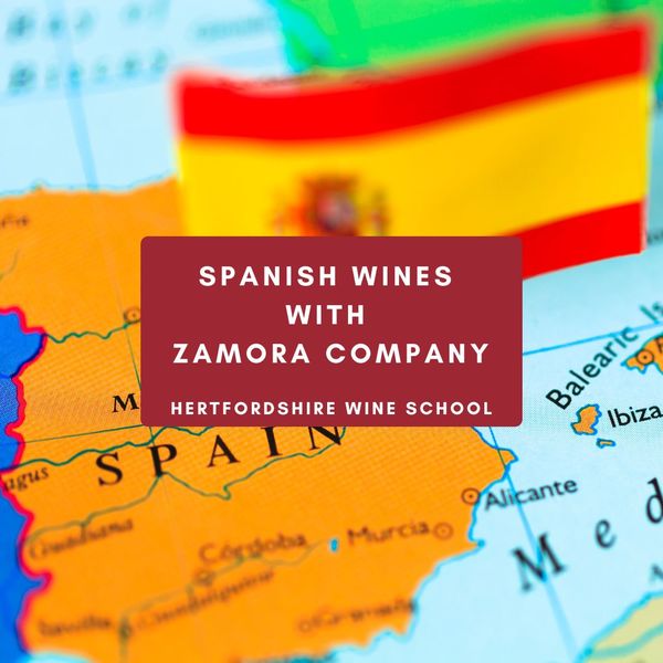 Spanish Wines with Zamora Company