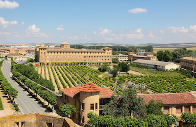 Explore the Wines of Spain - Southend