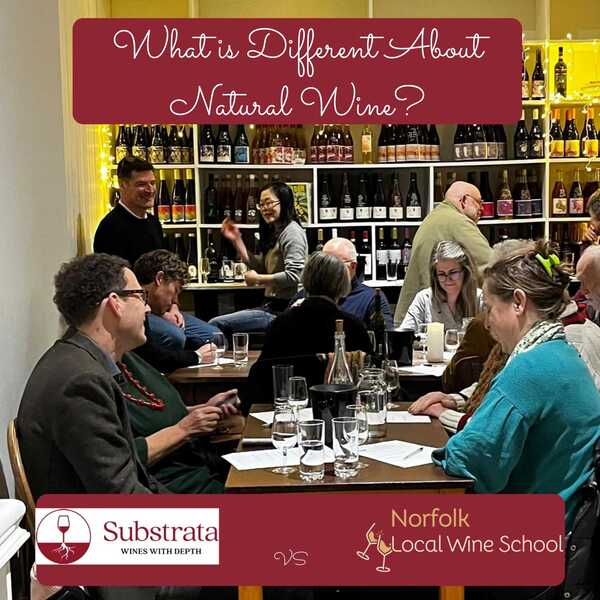 What is Different About Natural Wine? with Substrata Wines