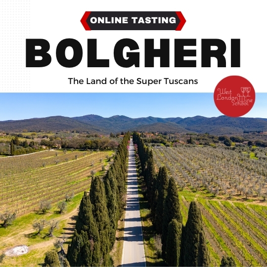 ONLINE TASTING: Land of the Super Tuscans - Bolgheri with Riccardo Binda & Nelson Pari