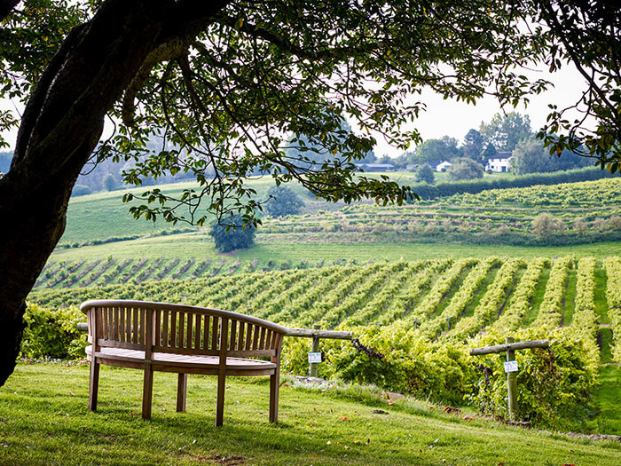 Exciting English Wines for TWO or more people