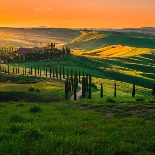 Discover Wines of Central Italy