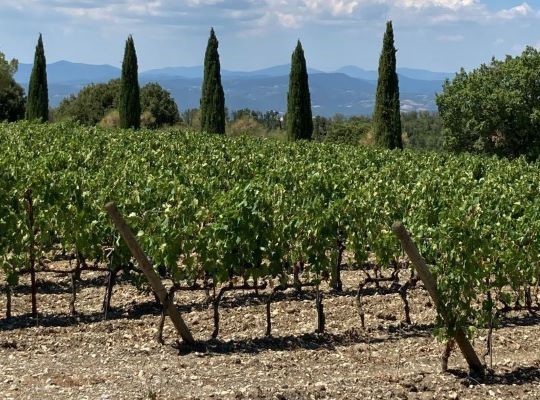 World of Wine - Italy