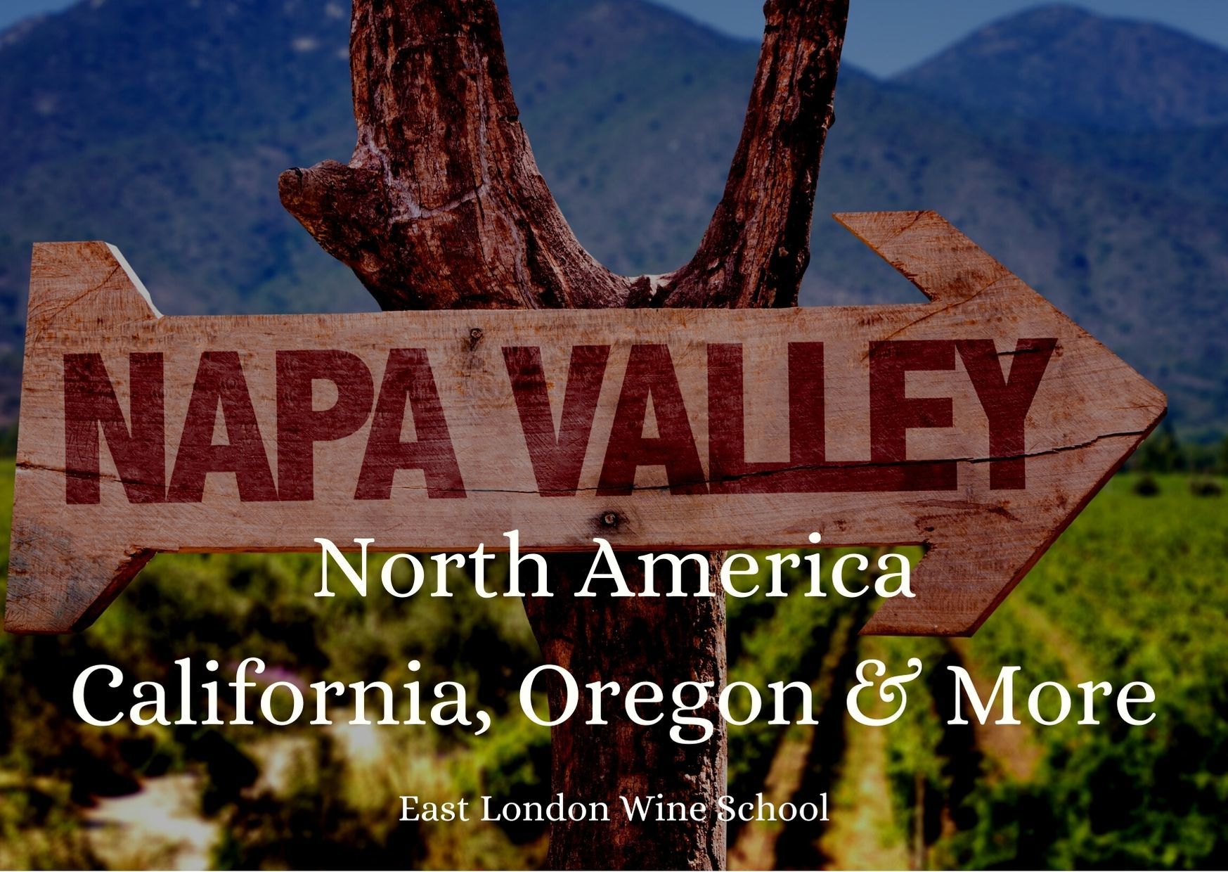 Wines of North America - Calfiornia and more