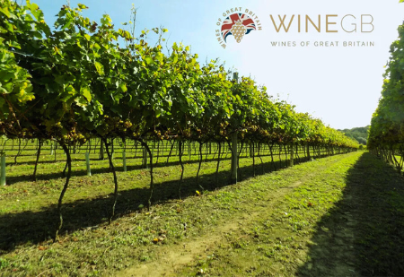 Britain - Your Country needs you... To drink their Wine