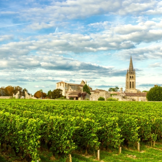 World of Wine - Bordeaux & Rhone  