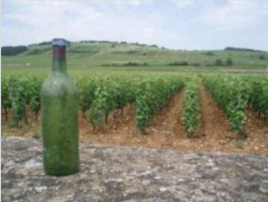Online Tasting: Jimmy's Lovely Loire