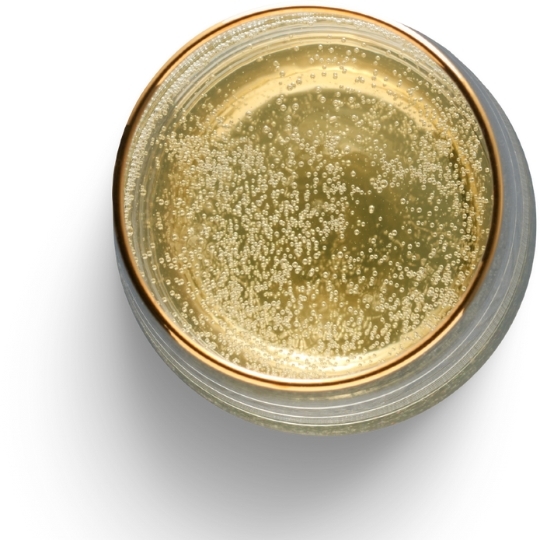 World of Wine - Sparkling and Fortified Wine 