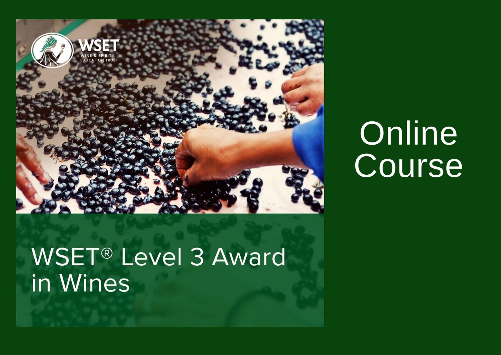  WSET Level 3 Award in Wines & Exam - Online - Sept 2021