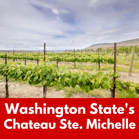 Washington State's Chateau Ste Michelle with Craig Mitchell