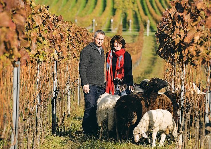 Meet the Austrian winemaker for ONE person