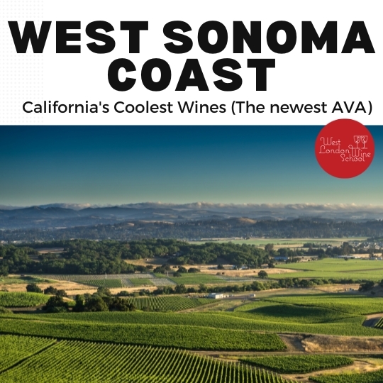 California's Coolest Wines - West Sonoma Coast (The newest AVA)