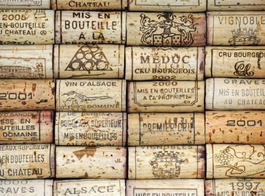 Introduction to Wine Tasting