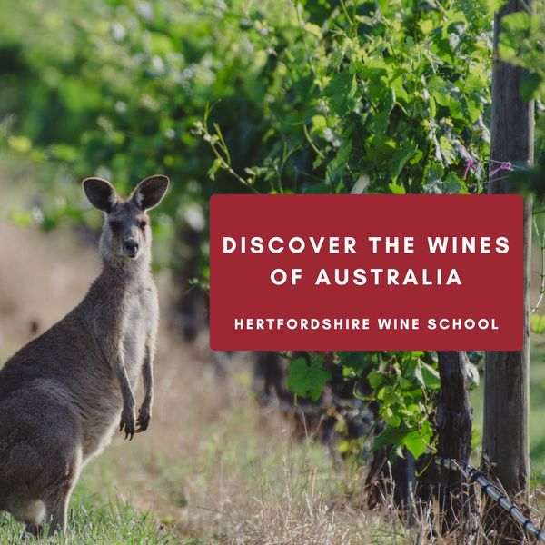 Discover the Wines of Australia