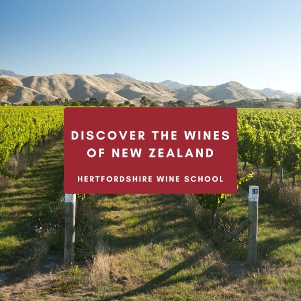 Discover the Wines of New Zealand