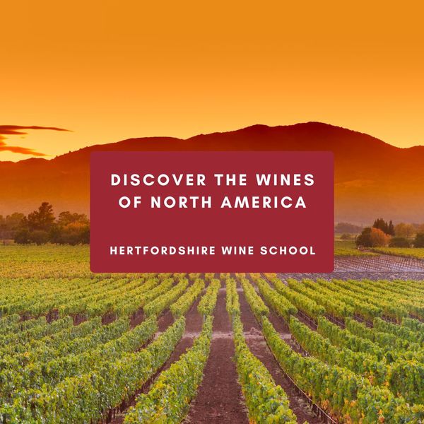 Discover the Wines of North America