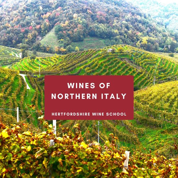 Wines of Northern Italy