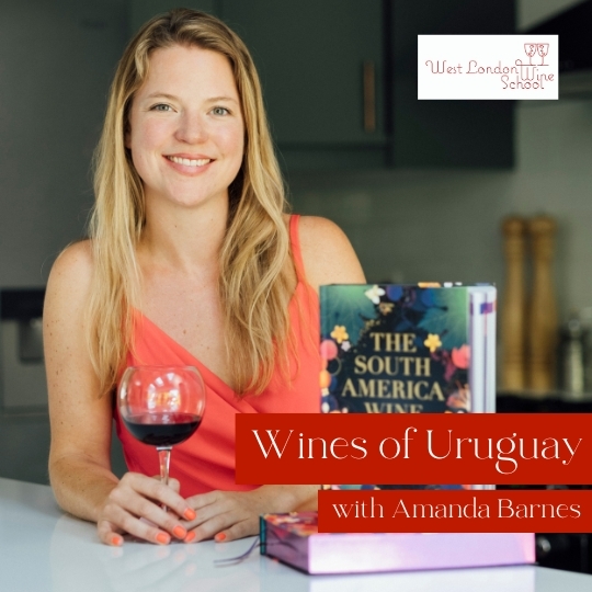 Masterclass: Wines of Uruguay with Amanda Barnes MW