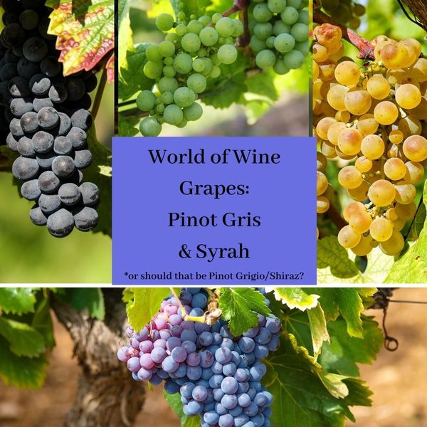 World of Wine Grapes:Pinot Gris/Syrah – or should that be Pinot Grigio/Shiraz?