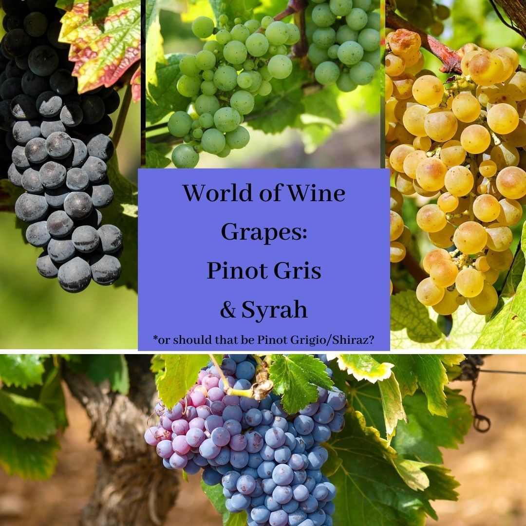 World of Wine Grapes: Pinot Gris/Syrah – or maybe Pinot Grigio/Shiraz...