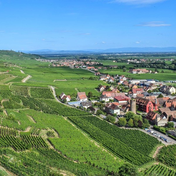 Wines of Alsace Masterclass with Simon Woods