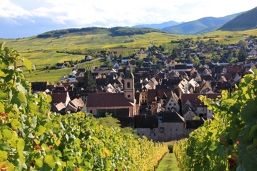 Alsace Grand Cru with Jonny