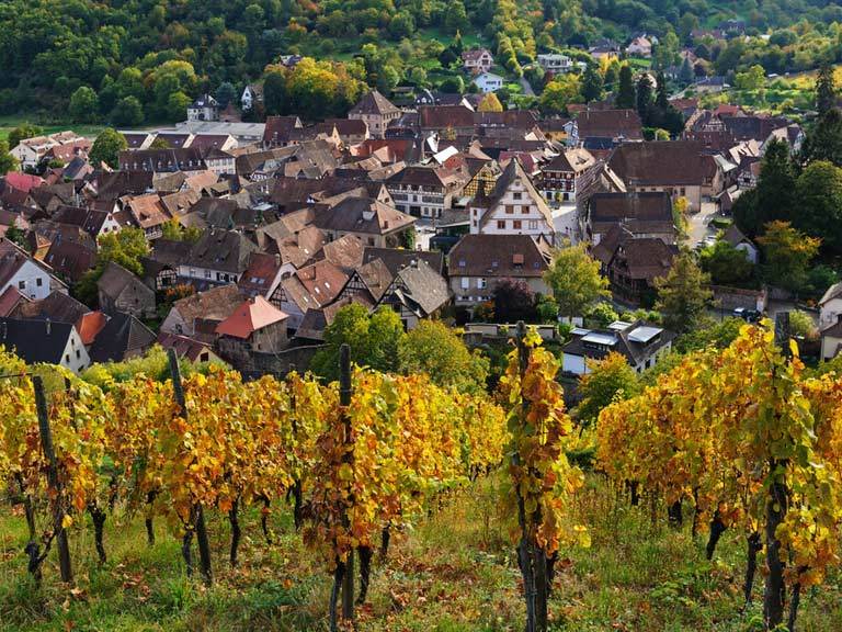 ONLINE: World of Wine - Alsace, Germany & England